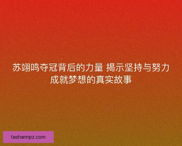 苏翊鸣夺冠背后的力量 揭示坚持与努力成就梦想的真实故事